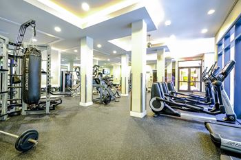 24-Hour high endurance fitness zone with crossfit & lifetime fitness cardio machines and promaxima strength equipment